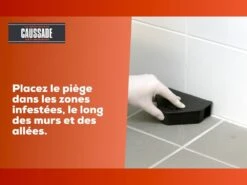 Carpt400 Raticide Canadien Forte Infestation Appât Prêt à L'emploi Nou -VIDAXL Soldes Boutique 01926f353c8d8b6d