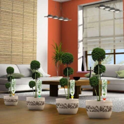 Cône D'Arrosage D'absence : Jusqu'à 25 Cm 7 Cl - S, Orange - Pack 3+1 7 Cône D'Arrosage D'absence : Jusqu'à 25 Cm 7 Cl - S, Orange - Pack 3+1 -VIDAXL Soldes Boutique 177127 008