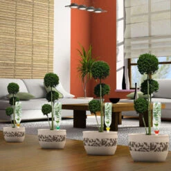 Cône D'Arrosage D'absence : 30 à 40 Cm 20 Cl - M, Vert - Pack 3+1 9 Cône D'Arrosage D'absence : 30 à 40 Cm 20 Cl - M, Vert - Pack 3+1 -VIDAXL Soldes Boutique 177131 008