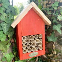 Hôtel à Insectes - Coloris Aléatoire 9 Hôtel à Insectes - Coloris Aléatoire -VIDAXL Soldes Boutique 1edbe528294d8f3f