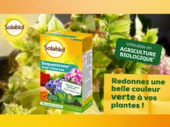 Solabiol Soseq01 | Sequestrene Antichlorose 100g | Action Longue Durée | Fabriq -VIDAXL Soldes Boutique 60510aa3446804f5