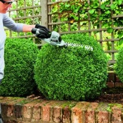 Taille Herbe Et Haie Lame 200 Mm Pack Batterie Et Chargeur 2 Ah Ego Cht2001e -VIDAXL Soldes Boutique 6358477784cc77.40938340