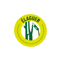 Pack Tronçonneuse Sans Fil + Batterie De Rechange-vert -VIDAXL Soldes Boutique 6363b0dbb5b924.38775051