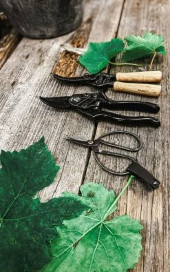 Sécateur - Basic -VIDAXL Soldes Boutique 63fefc027e3da8.59429172