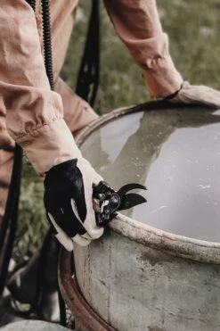 Sécateur - Basic -VIDAXL Soldes Boutique 63fefc02850e81.51814800