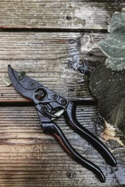 Sécateur - Basic -VIDAXL Soldes Boutique 63fefc028cab62.62536057