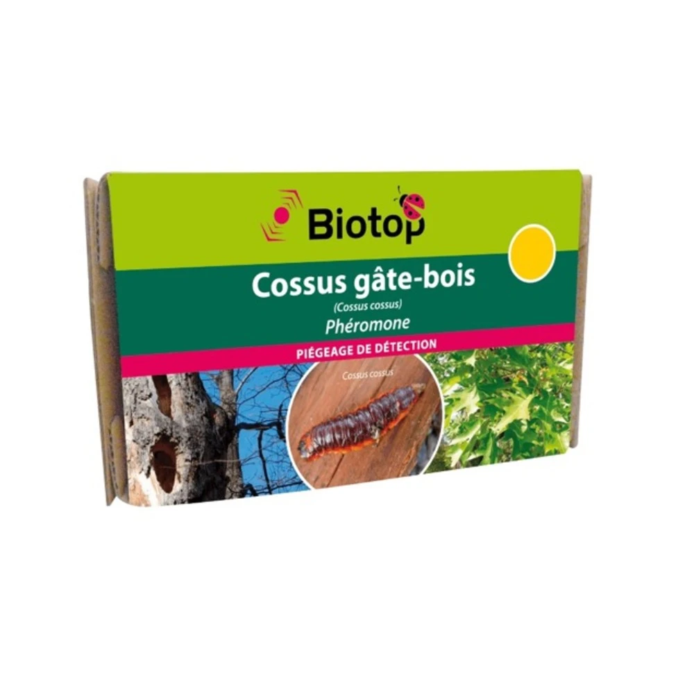 Phéromone Cossus Gâte-bois (2 Capsules) 1 Phéromone Cossus Gâte-bois (2 Capsules)
