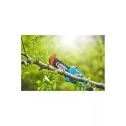 Gardena Elagueuse Sur Perche Tcs 20/18v P4a Sans Batterie -VIDAXL Soldes Boutique 641da6726f15b1.32290024