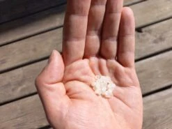 Nématodes Mouches Des Terreaux En Micro-capsules Par 200 -VIDAXL Soldes Boutique 644181f5c5e9a8.52300689