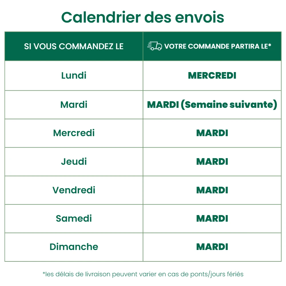 250 Larves Coccinelles Anti-puceron - Coccilaure 2 250 Larves Coccinelles Anti-puceron - Coccilaure – Image 2