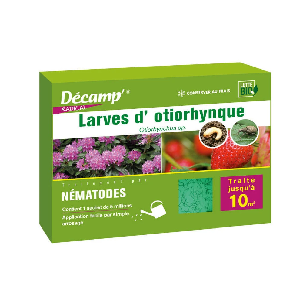 Nématodes Spécifiques Contre Les Otiorhynques 5 Millions 1 Nématodes Spécifiques Contre Les Otiorhynques 5 Millions
