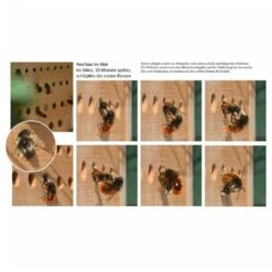 Luxus-insektenhotels Hôtel à Insectes Avec Toit En Hêtre Maja Naturel -VIDAXL Soldes Boutique 645b9442ecc599.55075722