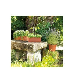 Jardiniere Day R Cotto - Coloris Terre Rouge - 50cm -VIDAXL Soldes Boutique 645cf55c99edc1.69867466