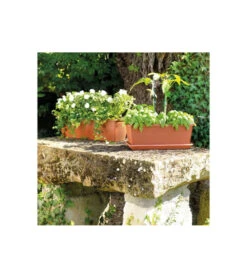 Jardiniere Day R Cotto - Coloris Terre Rouge - 50cm -VIDAXL Soldes Boutique 645cf55caebad8.93526619
