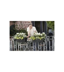 Elho Balconniere Green Basics Allin1 55 - Extérieur & Balcon - Xl - L 32,3 X W 56,4 X H 22,7 Cm - Vivre Noir -VIDAXL Soldes Boutique 645cf56390dbb6.90868122