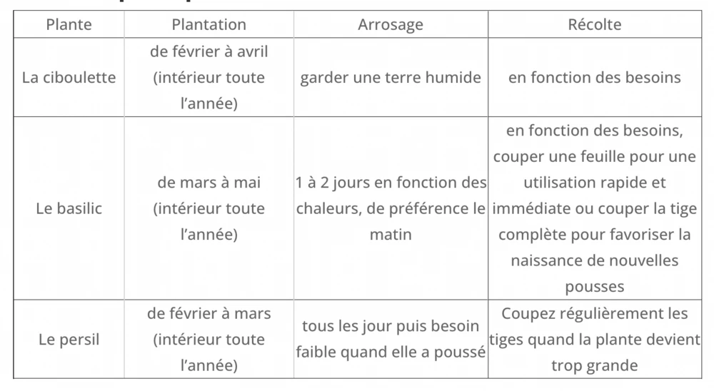 Cultivea Kit Prêt à Pousser D’herbes Aromatiques - Jardin Potager D’intérieur - (ciboulette, Basilic Persil) 3 Cultivea Kit Prêt à Pousser D’herbes Aromatiques - Jardin Potager D’intérieur - (ciboulette, Basilic Persil) – Image 3