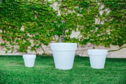 Pot De Fleurs Magnolia 80 ø80x76cm - Blanc -VIDAXL Soldes Boutique 6470a36013f0e6.96820681