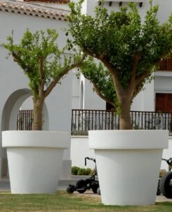 Pot De Fleurs Magnolia 160 ø160x152cm - Anthracite -VIDAXL Soldes Boutique 6470a364705c04.06641420