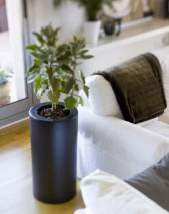 Pot De Fleurs Rond Palma 70 Noir Opaque ø35x70cm -VIDAXL Soldes Boutique 6470a378b67063.35409589