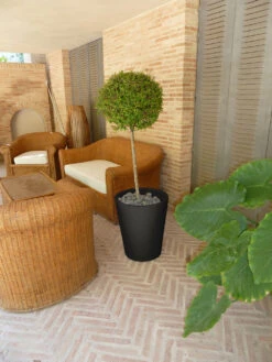 Pot De Fleurs Gerbera ø50x59,5cm - Anthracite -VIDAXL Soldes Boutique 6478c7f4b074b2.90633905