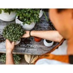 Ensemble De Pot De Fleurs Boule Nature Rib Ivoire -VIDAXL Soldes Boutique 647989580b9a73.15976292