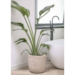 Pot à Fleurs Waste Rib 43x41 Cm Beige Terrazzo -VIDAXL Soldes Boutique 6479895e5992f2.75165785