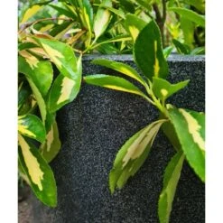 Pot à Fleurs Waste Smooth 43x41 Cm Gris -VIDAXL Soldes Boutique 647989619db2d1.88941631