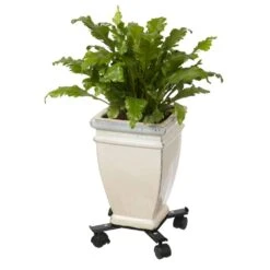 Nature Support Roulant Réglable Pour Plantes 4 Bras Métal Noir -VIDAXL Soldes Boutique 64798cbe8ef7f8.17677483