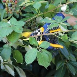 Sécateur De Contournement De Jardin Z-19 200 Mm -VIDAXL Soldes Boutique 64798cc454e176.12107553