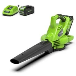 Greenworks Aspirateur De Pelouse à Main 40 V Vert