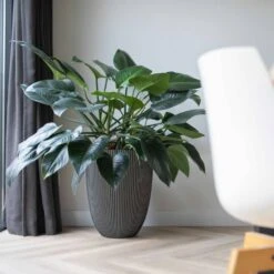 Vase élégant Groove 46x58 Cm Anthracite -VIDAXL Soldes Boutique 6482c45ae14806.82498096