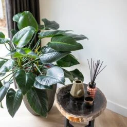 Vase élégant Groove 46x58 Cm Anthracite -VIDAXL Soldes Boutique 6482c45ae4ed23.22651179