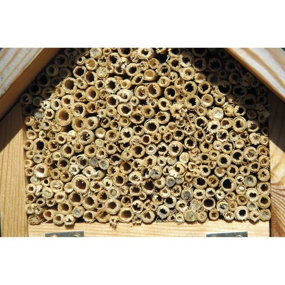 Hôtel à Insectes Naturel, Rouge Et Vert 4 Hôtel à Insectes Naturel, Rouge Et Vert – Image 4