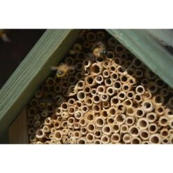 Hôtel à Insectes Naturel, Rouge Et Vert 11 Hôtel à Insectes Naturel, Rouge Et Vert -VIDAXL Soldes Boutique 6483189eee8da2.11376769