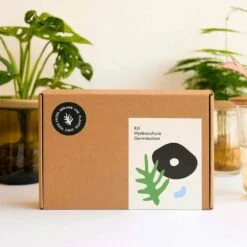 Coffret De Germination 7 Coffret De Germination -VIDAXL Soldes Boutique 64871012cf5773.36527871