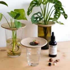 Coffret De Germination 6 Coffret De Germination -VIDAXL Soldes Boutique 64871012d300e2.81641891