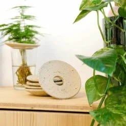 Coupelle D'hydroculture -VIDAXL Soldes Boutique 648761292b6a81.51148422