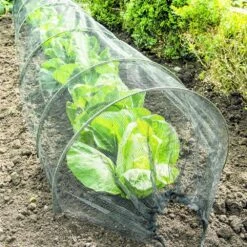Tunnel à Potager En Fil Tissé -VIDAXL Soldes Boutique 648b4e3d6c8794.97246947