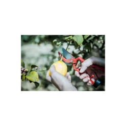 Sécateur à Main En Acier Bellota - 25mm - 350523 -VIDAXL Soldes Boutique 648b4e431e6c58.16868914