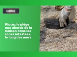 Carpt720 Lot De 4 Boîtes Raticide Canadien Pat'appât Fortes Infestatio -VIDAXL Soldes Boutique 6eb79456855960f1