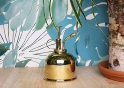 Vaporisateur En Laiton Doré Pour Plantes D'intérieur 7 Vaporisateur En Laiton Doré Pour Plantes D'intérieur -VIDAXL Soldes Boutique 829216 001