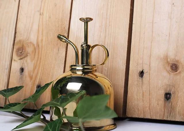Vaporisateur En Laiton Doré Pour Plantes D'intérieur 2 Vaporisateur En Laiton Doré Pour Plantes D'intérieur – Image 2