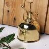 Vaporisateur En Laiton Doré Pour Plantes D'intérieur