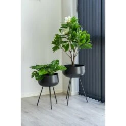 Pots De Fleurs Ardola 2 Pots De Fleurs En Noir -VIDAXL Soldes Boutique ee06d01e48416f6a